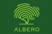 ALBERO